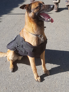 kevlar dog vest