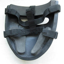Ballistic Face Mask